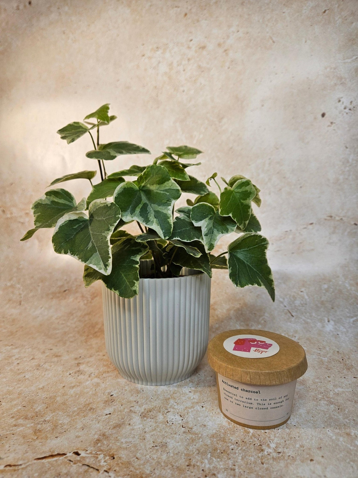 Activated Charcoal - SGP Garden Ltd