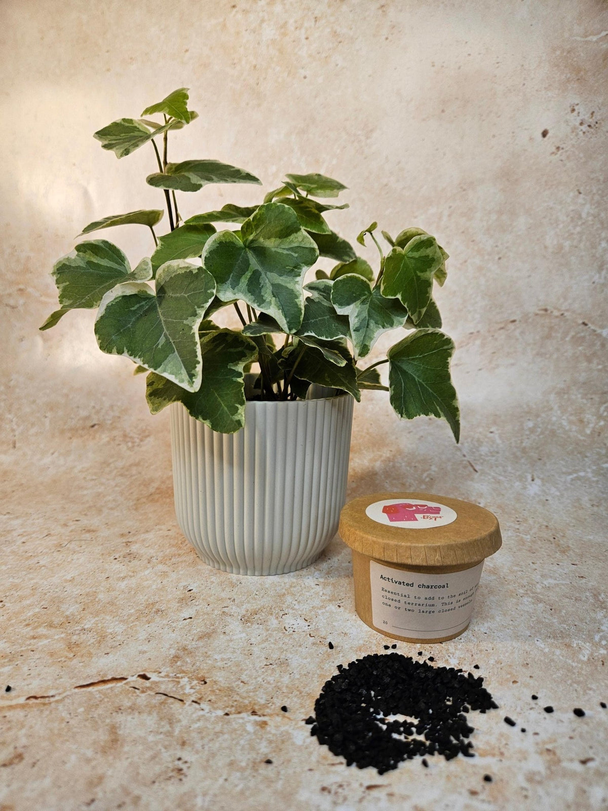 Activated Charcoal - SGP Garden Ltd