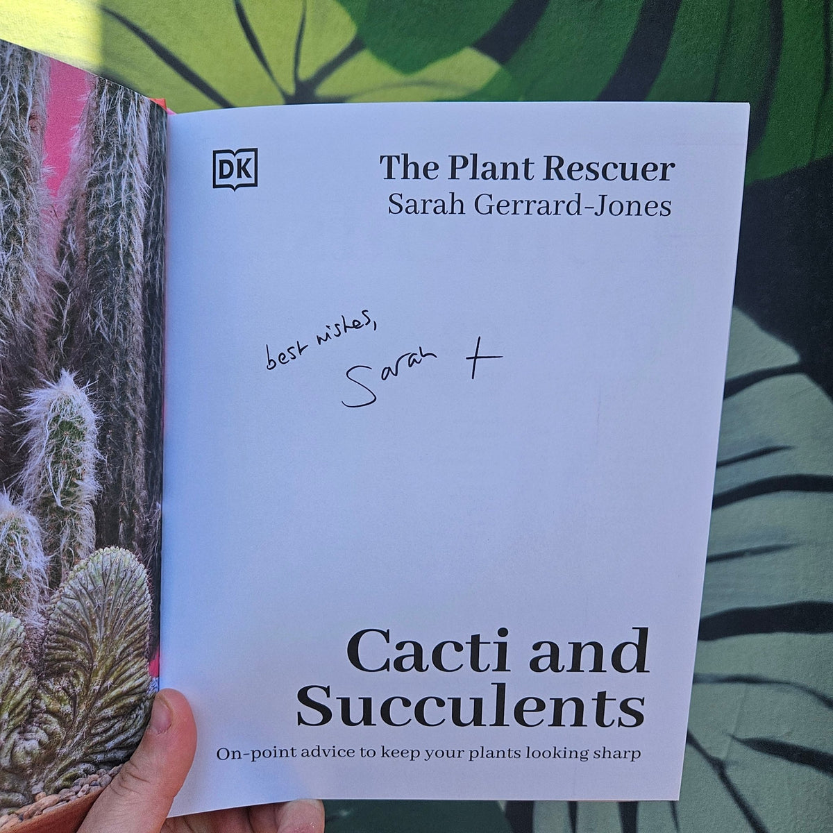 Cacti and Succulents by Sarah Gerrard-Jones - SGP Garden Ltd