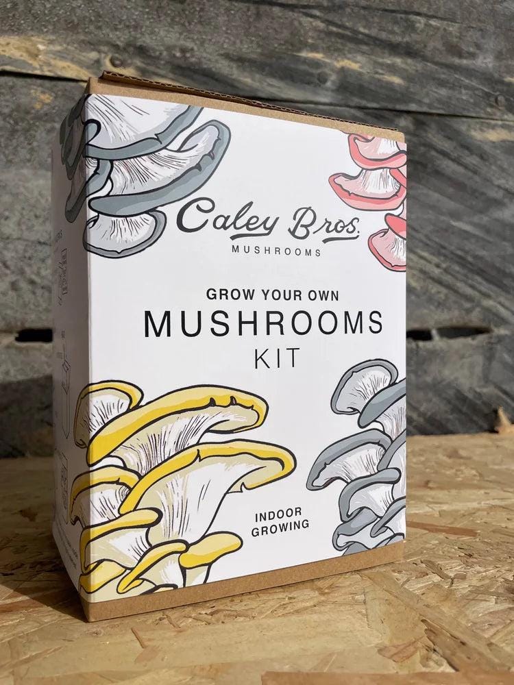 Caley Bros mushroom kits - SGP Garden Ltd