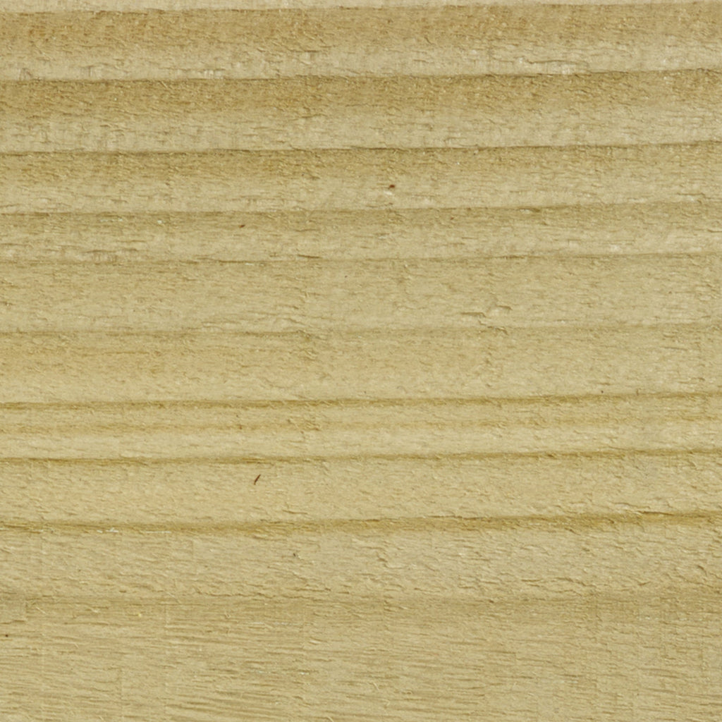 Clear - Stable Coat Paint - SGP Garden Ltd