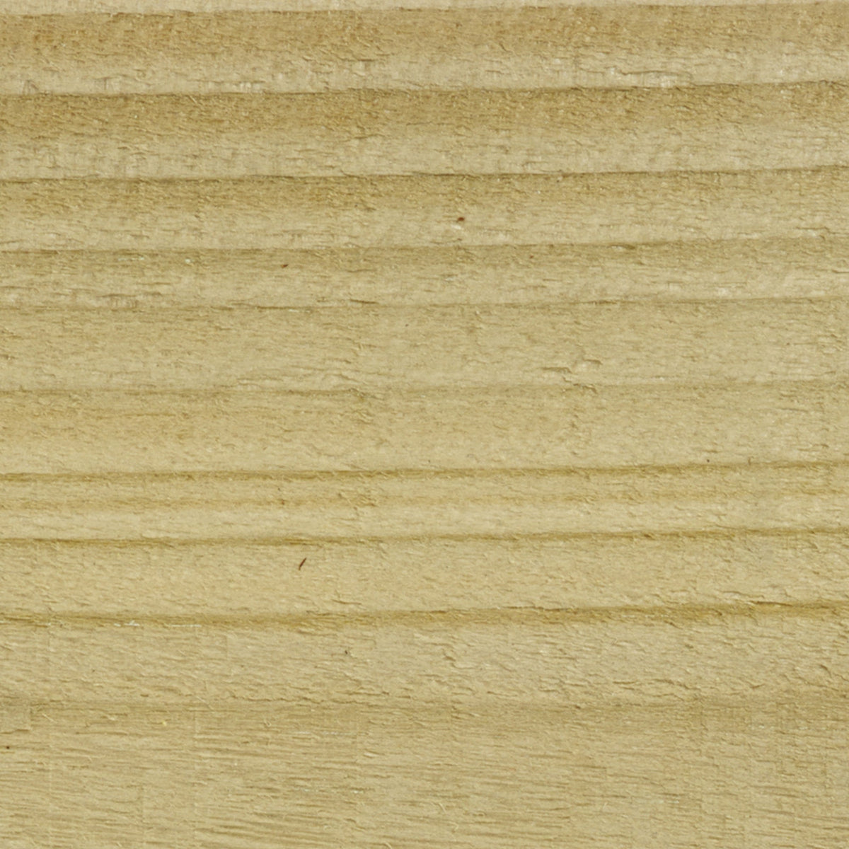 Clear - Stable Coat Paint - SGP Garden Ltd