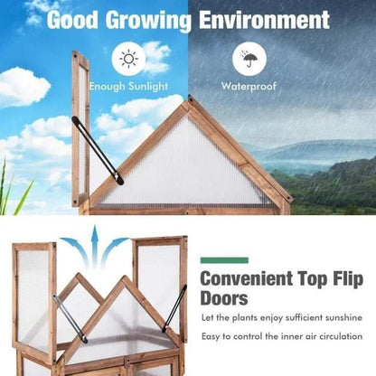 Cold Frame Mini Wooden Greenhouse with Openable Roof - SGP Garden Ltd