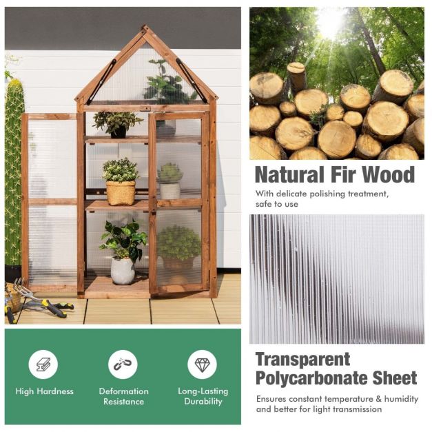 Cold Frame Mini Wooden Greenhouse with Openable Roof - SGP Garden Ltd