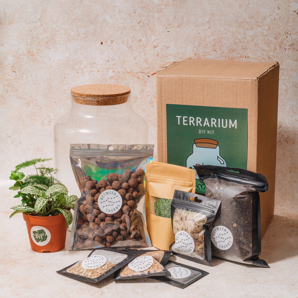 DIY Closed Terrarium Kit - Two Sizes! - SGP Garden Ltd