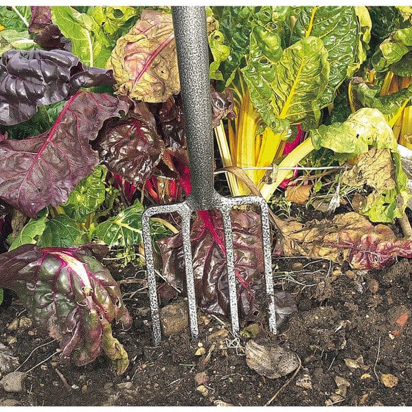 Draper Carbon Steel Border Fork - SGP Garden Ltd