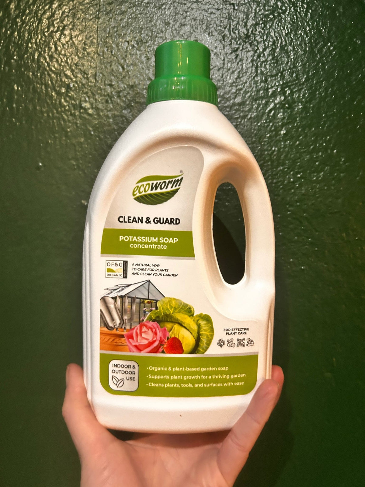 Ecoworm Potassium Soap (Horticultural Soap) - SGP Garden Ltd