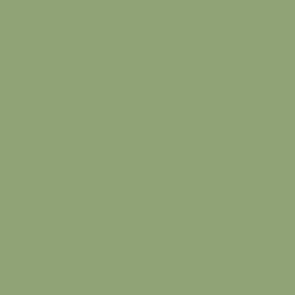 Evergreen - Royal Exterior Paint - SGP Garden Ltd