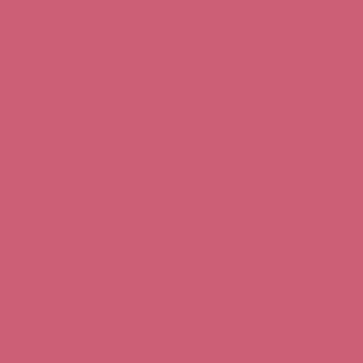 Fuchsia Pink - Royal Exterior Paint - SGP Garden Ltd
