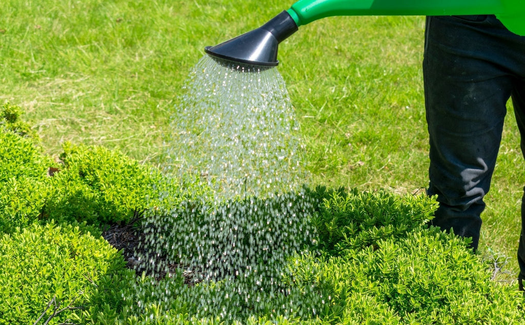 Watering Can