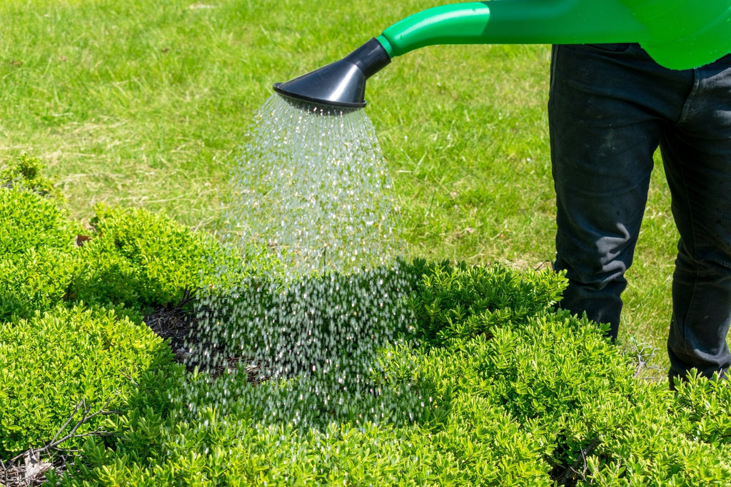 Watering Can