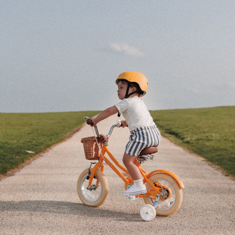Glerc 14 Inch Kids Bike For 3 - 5 Years Old - Little Molly - SGP Garden Ltd