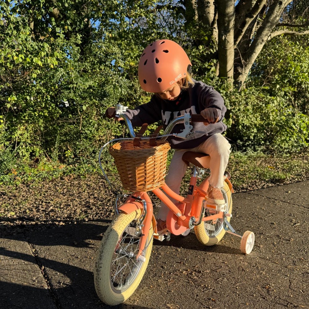 Glerc 16 Inch Kids Bike For 4 - 8 Years Old - Little Molly - SGP Garden Ltd