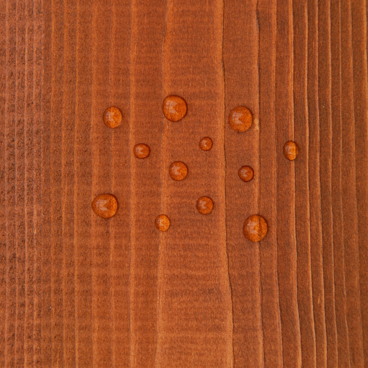 Golden Brown - Timber Eco Shield Wood Stain - SGP Garden Ltd