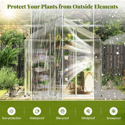 Large Walk‑In Polycarbonate Greenhouse (185 × 185 cm / 244 × 185 cm) - SGP Garden Ltd
