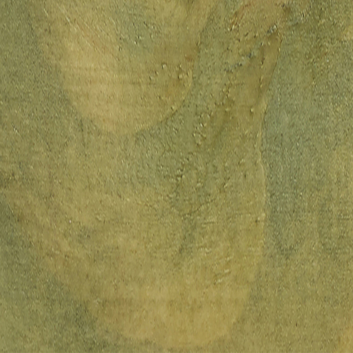 Light Green Decking Stain - SGP Garden Ltd