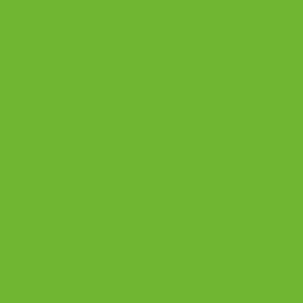 Lime Green - Royal Exterior Paint - SGP Garden Ltd
