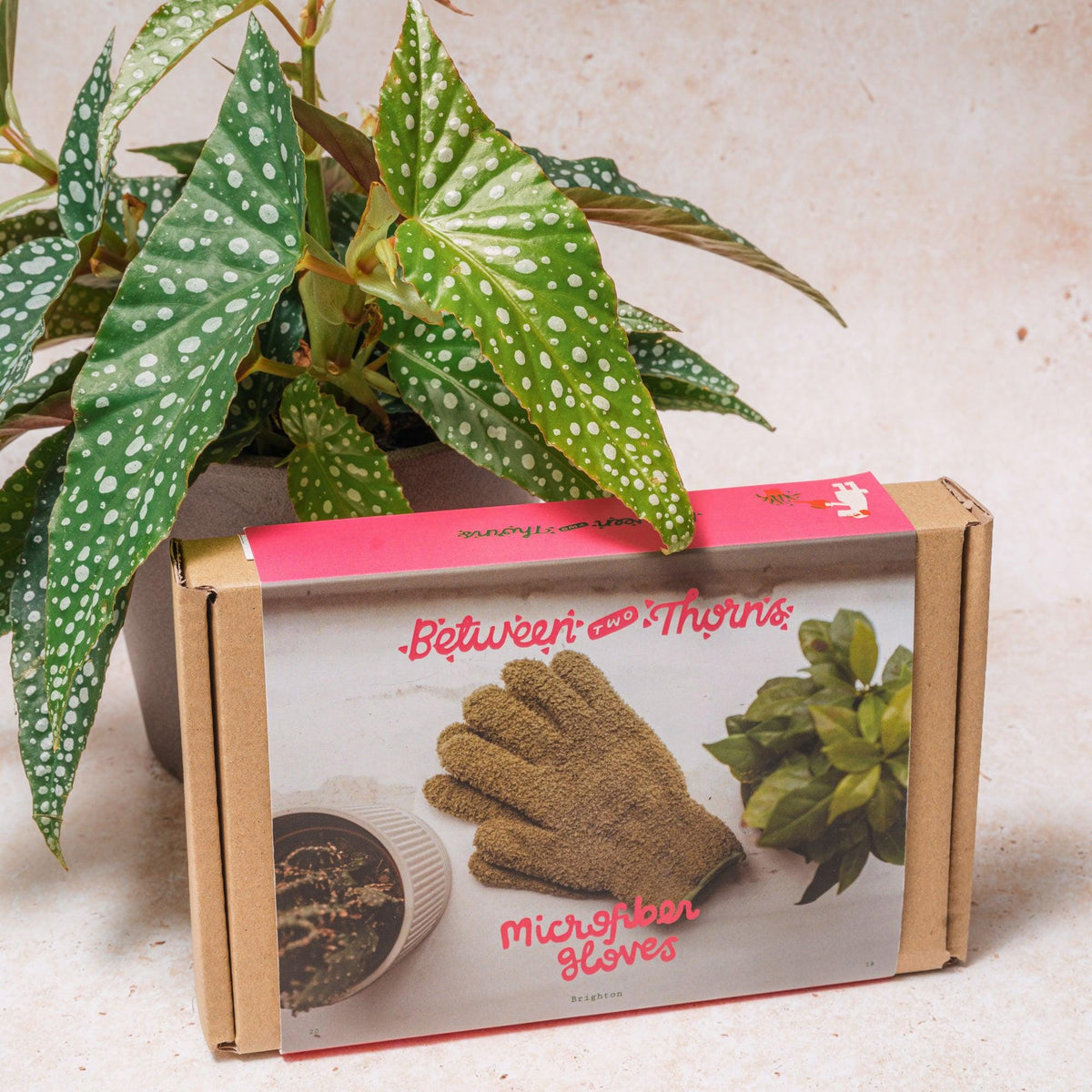 Microfibre Plant Duster Gloves - SGP Garden Ltd