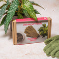 Microfibre Plant Duster Gloves - SGP Garden Ltd