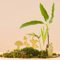 Mini Mushrooms - Another Studio - SGP Garden Ltd