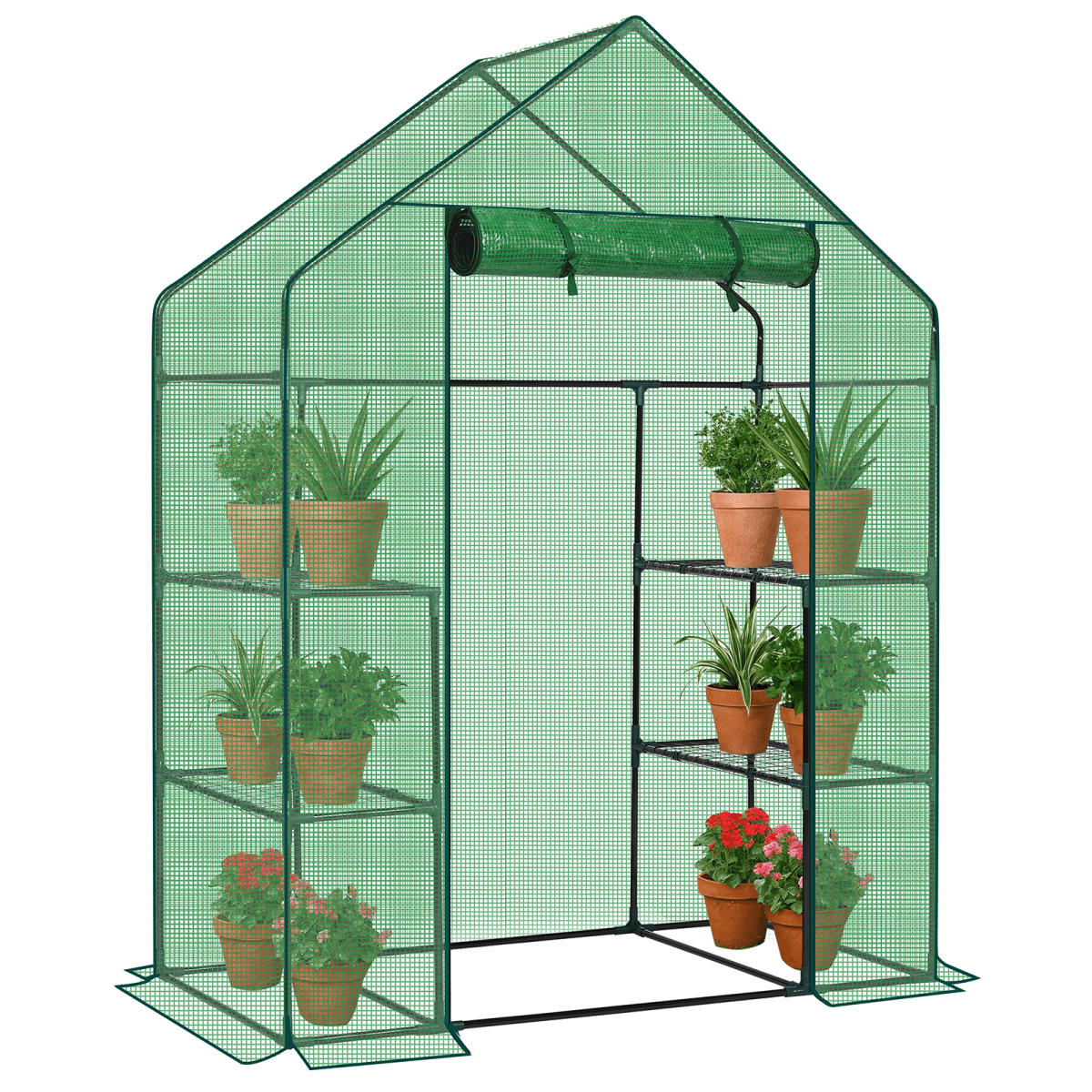 Mini Walk-in Greenhouse with PE Cover, 4-Shelf Indoor Outdoor Plant Gardening Green House for Garden Backyard, 56" x 29" x 77", Green - SGP Garden Ltd