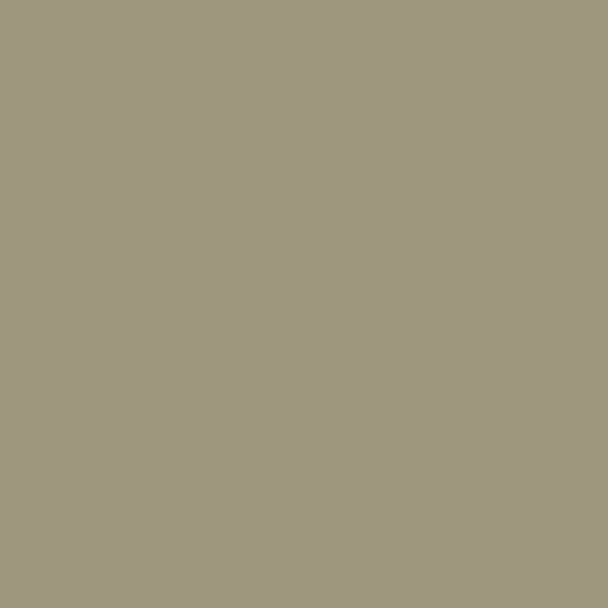 Mushroom - Royal Exterior Paint - SGP Garden Ltd