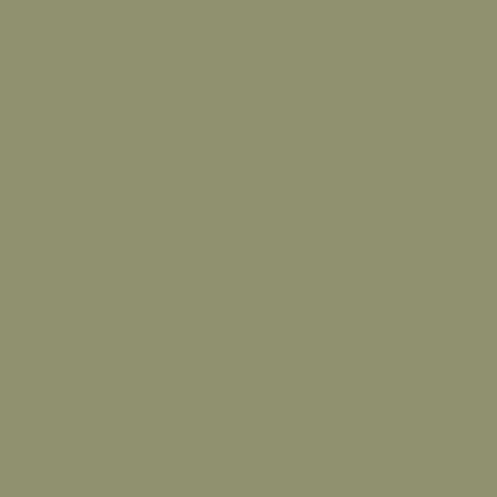 Olive Green - Royal Exterior Paint - SGP Garden Ltd