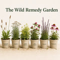 Wild Herb Garden