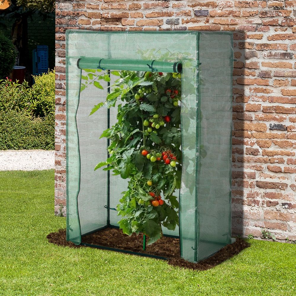Outsunny Mini Greenhouse - Steel Frame, PE Cover, Roll-up Door - 100 x 50 x 150cm - SGP Garden Ltd