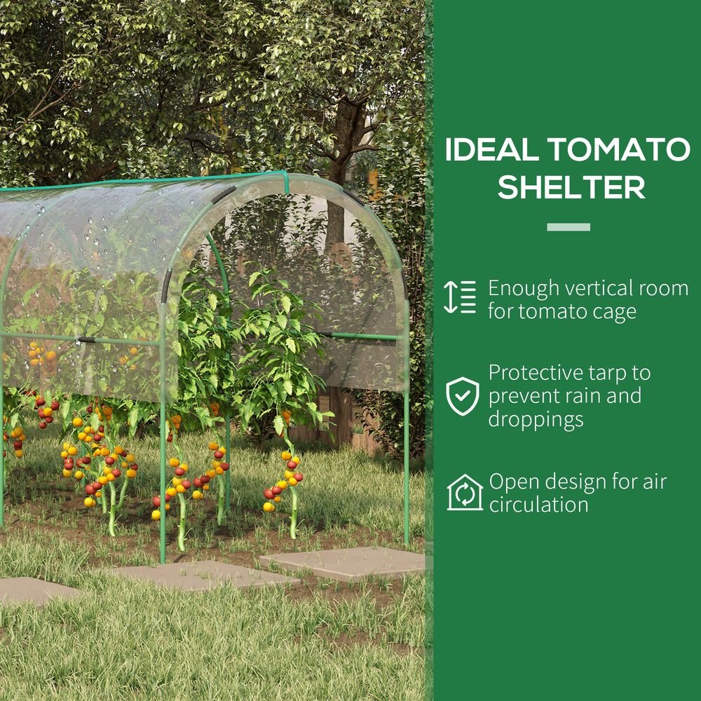 Outsunny Tomato Greenhouse with Top Tap, Pointed Bottom and Guy Ropes, Clear - SGP Garden Ltd