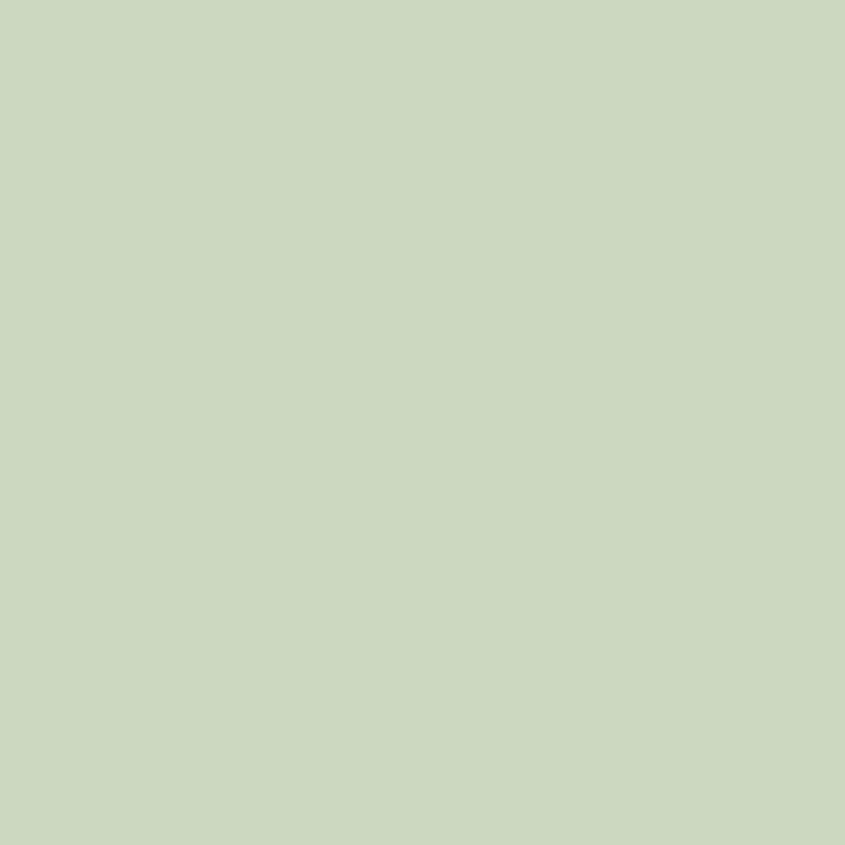 Pale Pistachio - Royal Exterior Paint - SGP Garden Ltd
