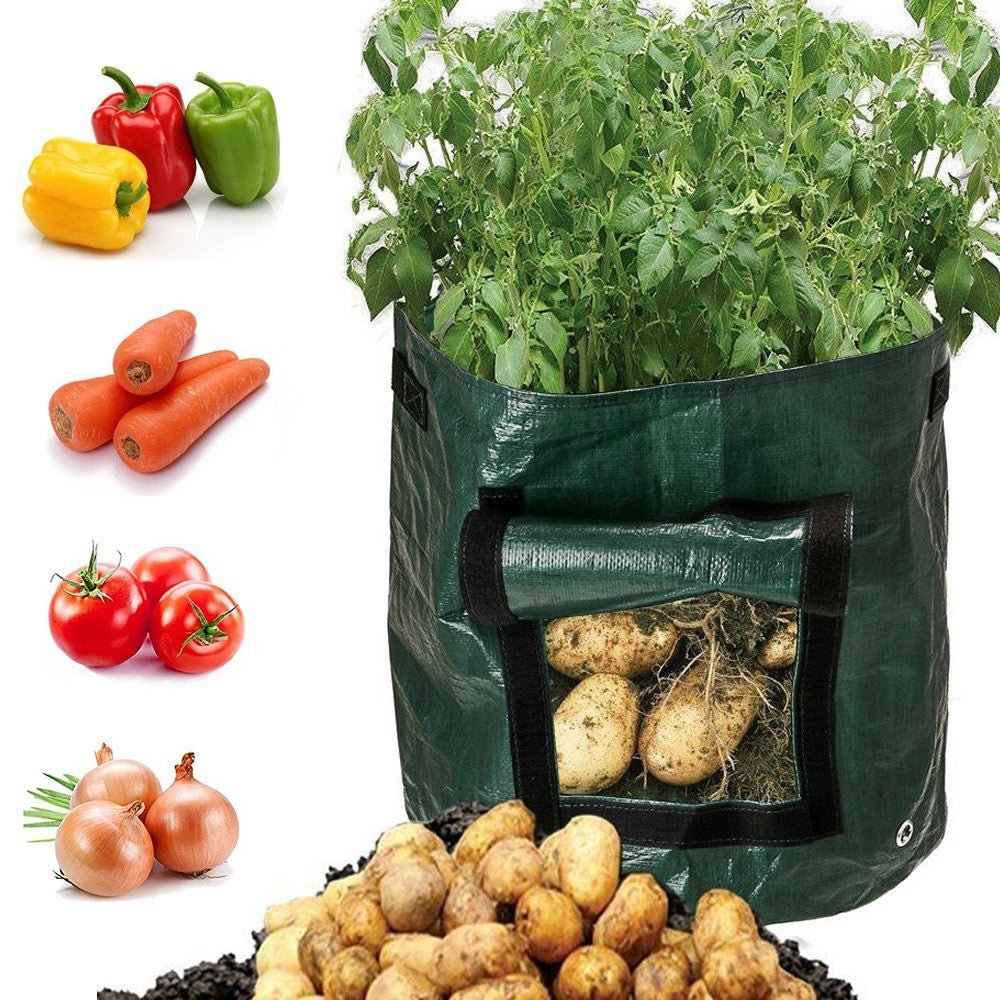 PE cloth garden planting bag - SGP Garden Ltd