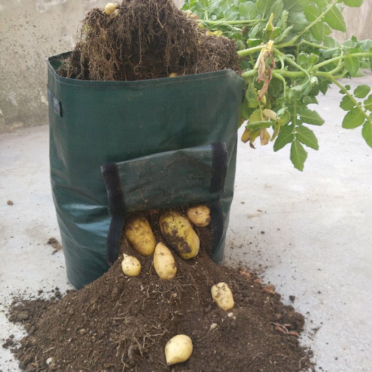 PE cloth garden planting bag - SGP Garden Ltd