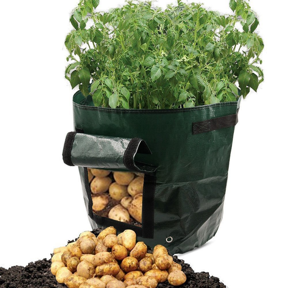 PE cloth garden planting bag - SGP Garden Ltd