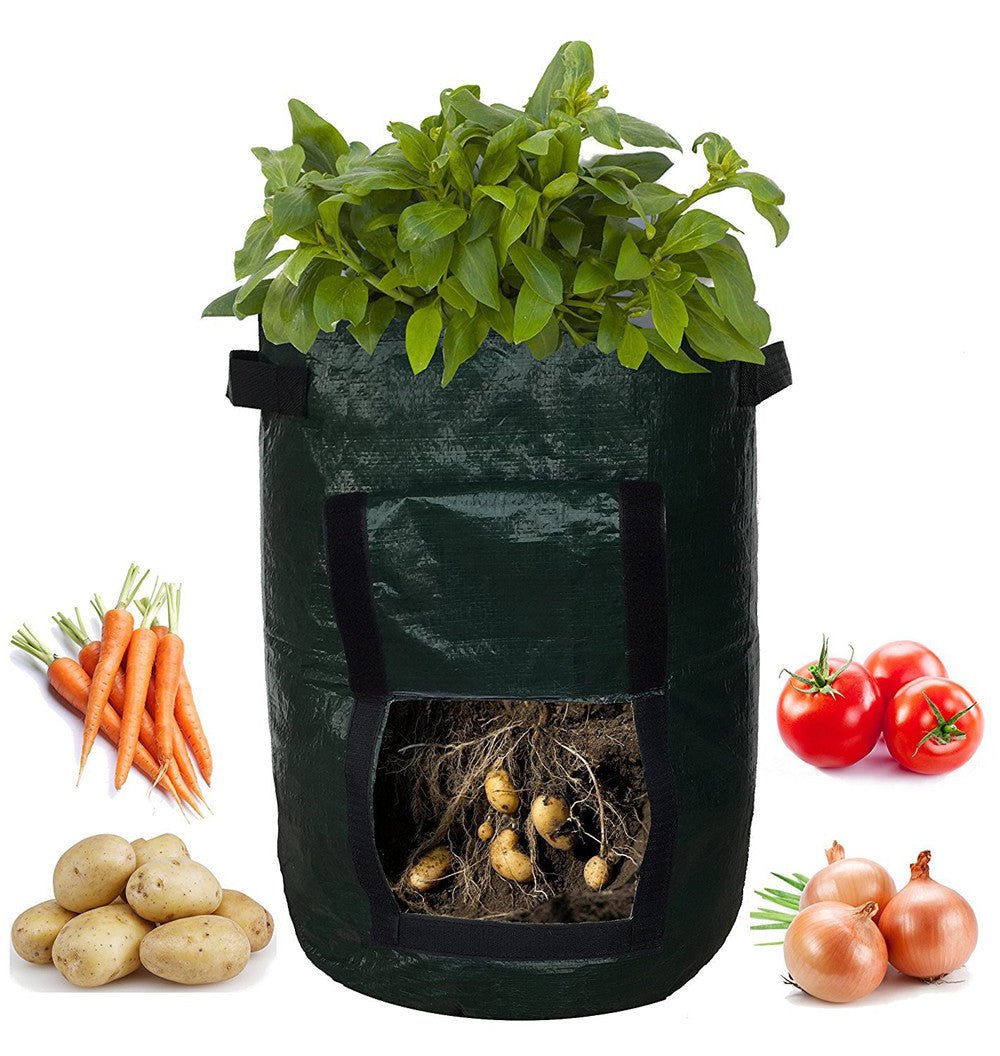 PE cloth garden planting bag - SGP Garden Ltd
