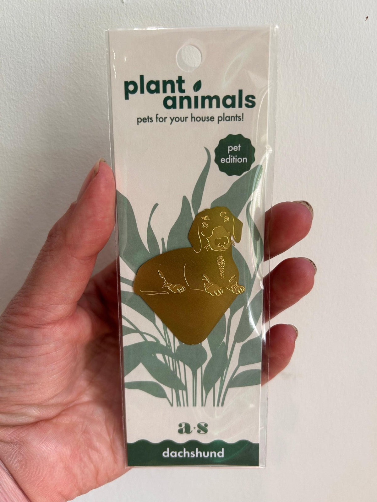 Plant Animals - Dachshund - Another Studio - SGP Garden Ltd