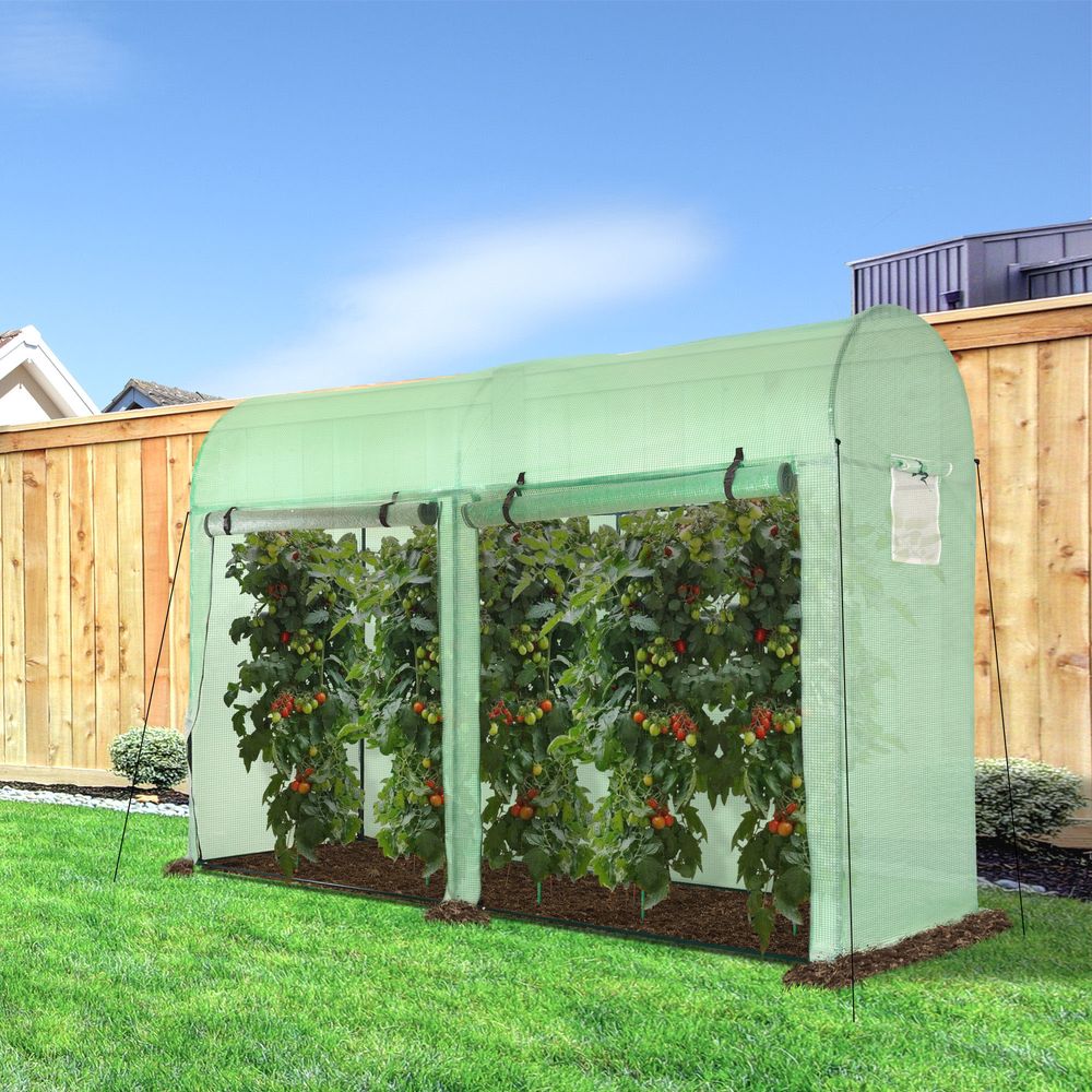 Plant Tomato Growth Greenhouse Double Doors & 4 Windows 3Lx1Wx2Hm - SGP Garden Ltd