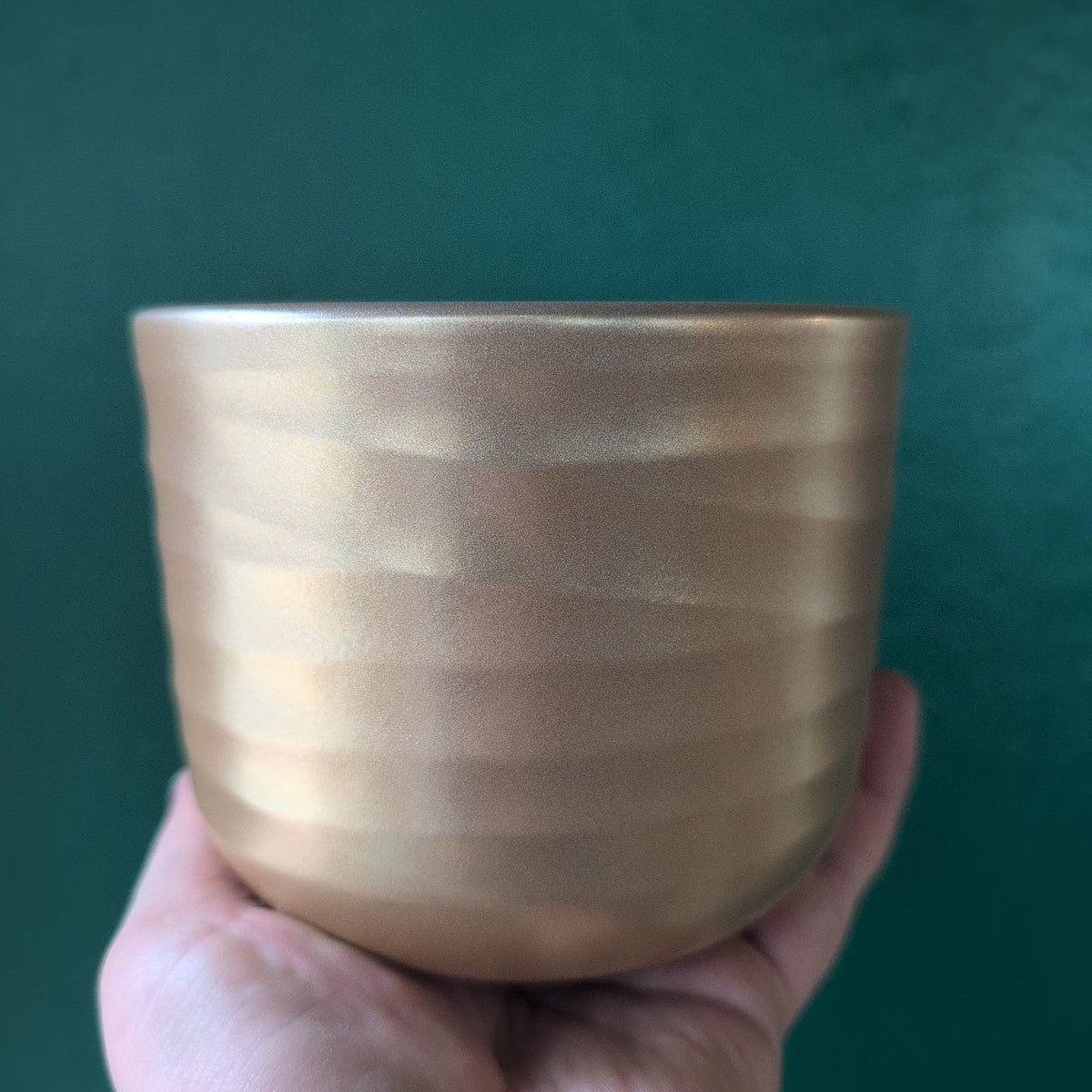 Poinsettia Ripple Pot - SGP Garden Ltd