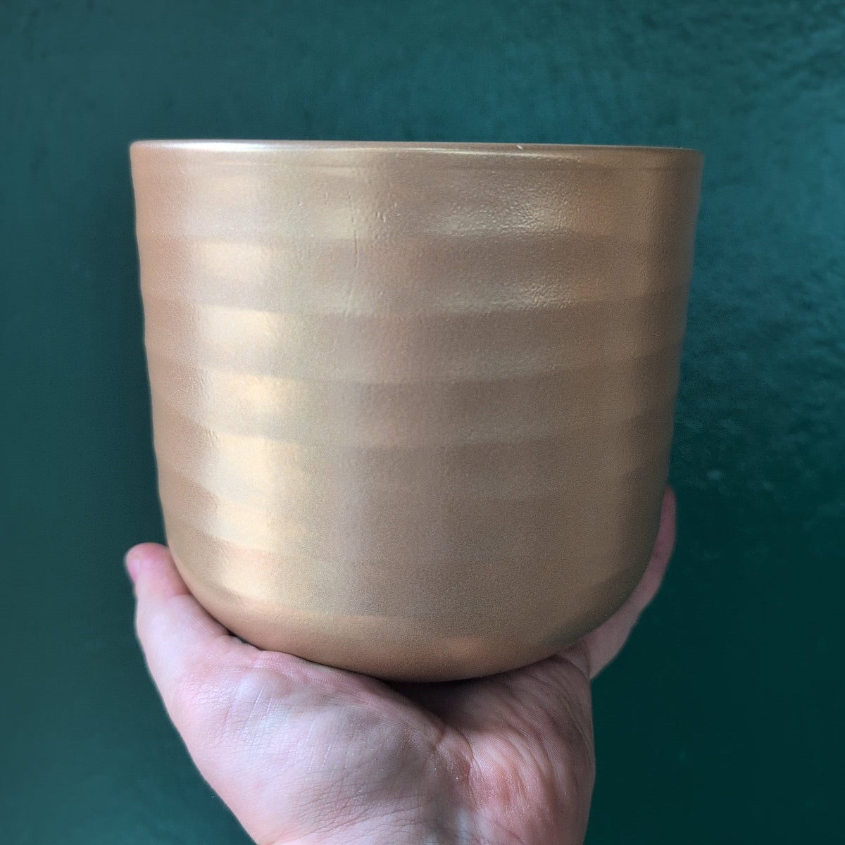 Poinsettia Ripple Pot - SGP Garden Ltd