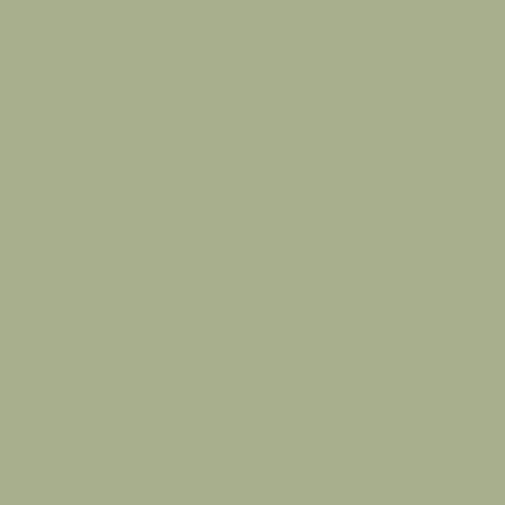 Pond Green - Royal Exterior Paint - SGP Garden Ltd