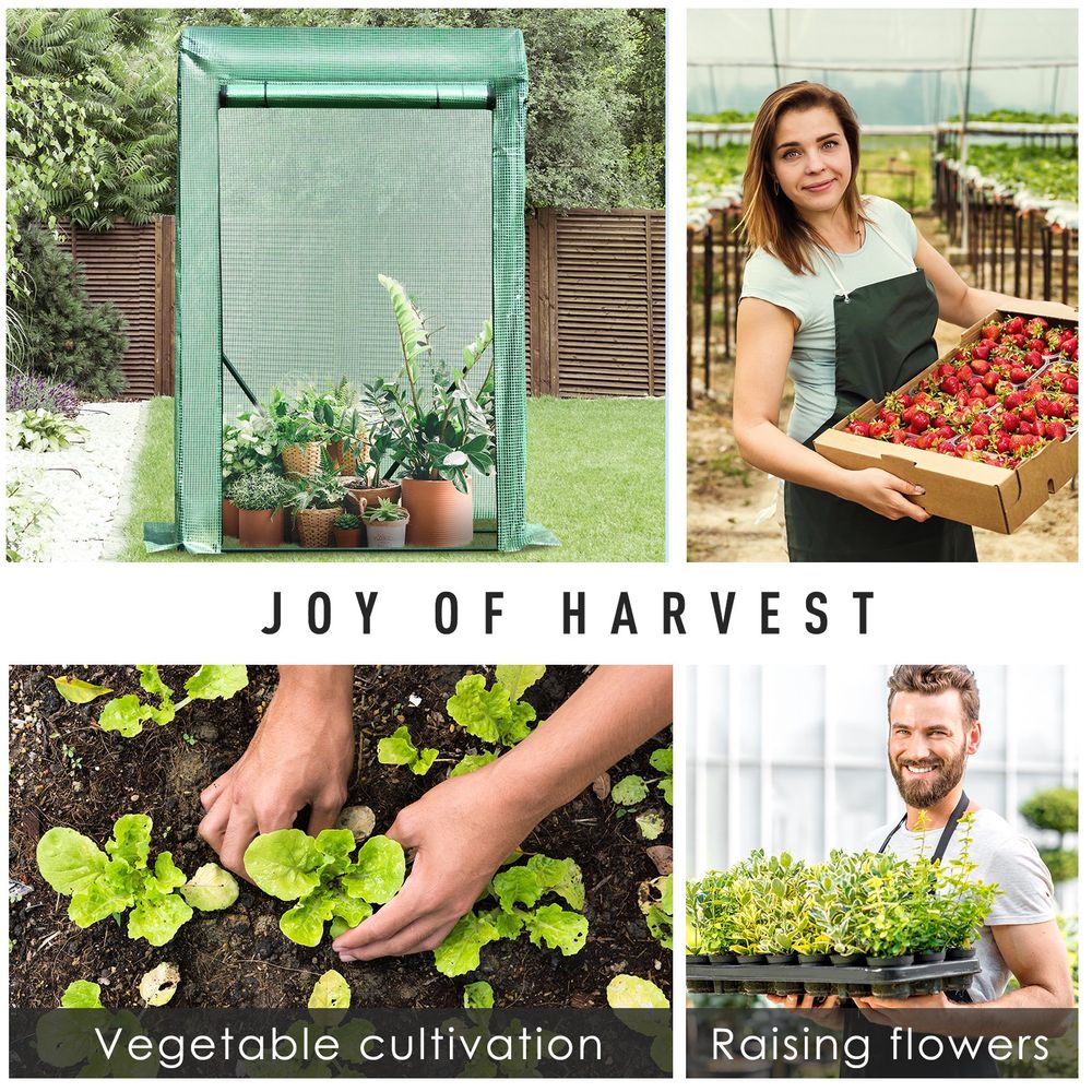 Portable PVC Grid Greenhouse - Protect Your Plants, Flowers & Produce from Wind & Rain - Compact & Durable Steel Frame - Easy Access Door - SGP Garden Ltd