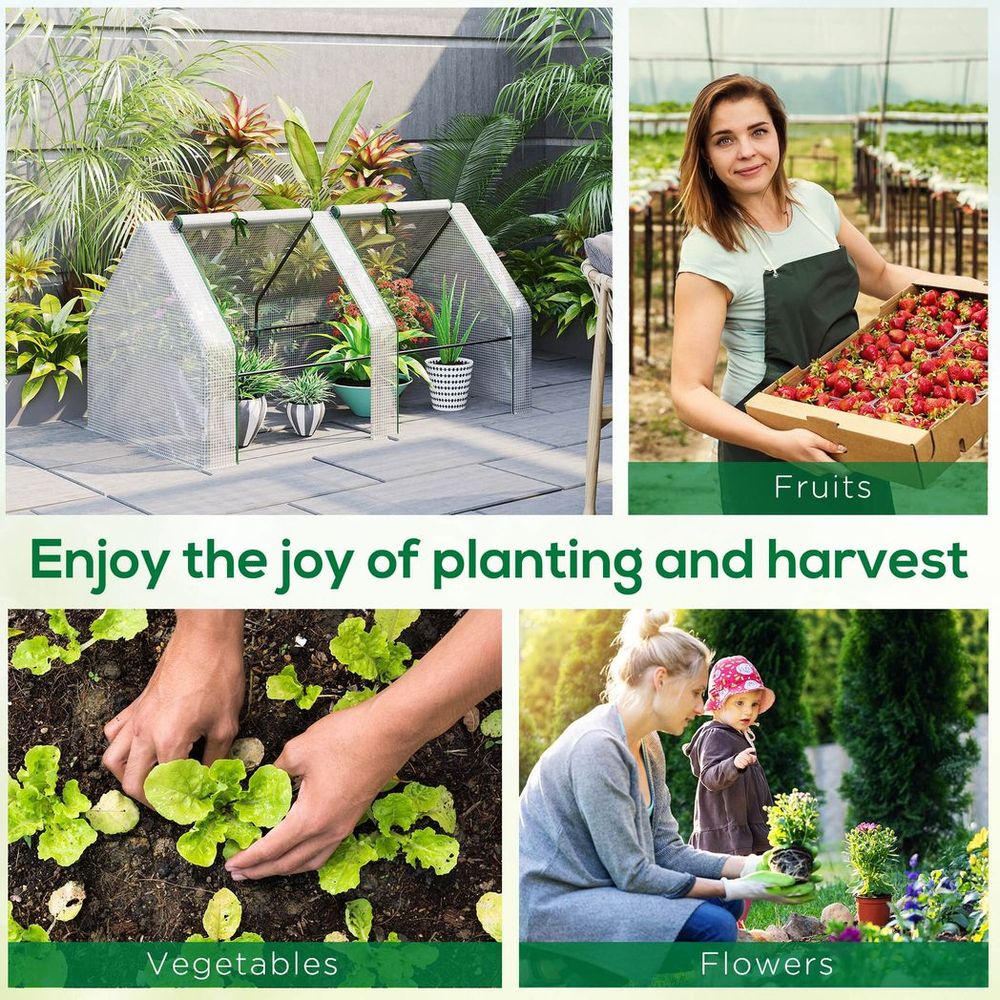 Premium Quality Mini Greenhouse: Portable, Steel Frame, Mesh Cover. Protect & Nourish Plants and Vegetables! - SGP Garden Ltd