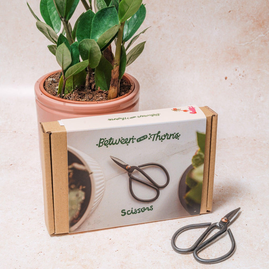 Pruning Scissors - SGP Garden Ltd