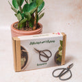 Pruning Scissors - SGP Garden Ltd