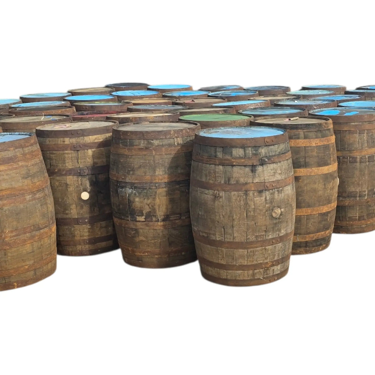 Recycled Solid Oak Barrel Whisky Outdoor/Indoor Garden 40 Gallon - SGP Garden Ltd