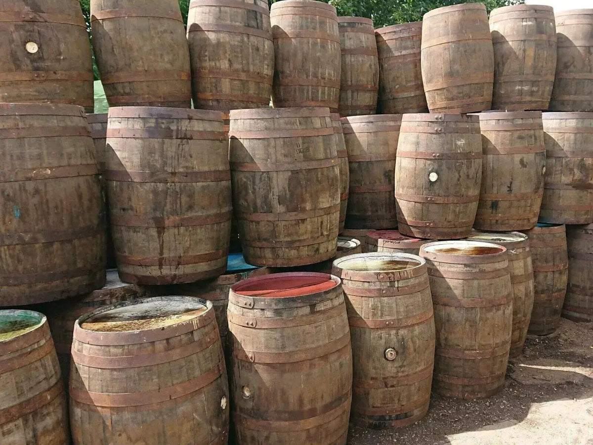 Recycled Solid Oak Barrel Whisky Outdoor/Indoor Garden 40 Gallon - SGP Garden Ltd