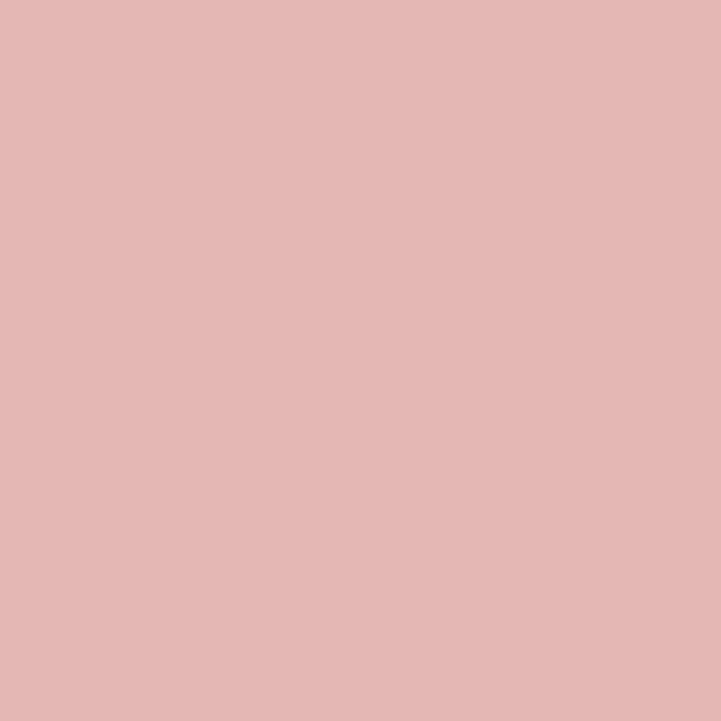 Rose Pink - Royal Exterior Paint - SGP Garden Ltd