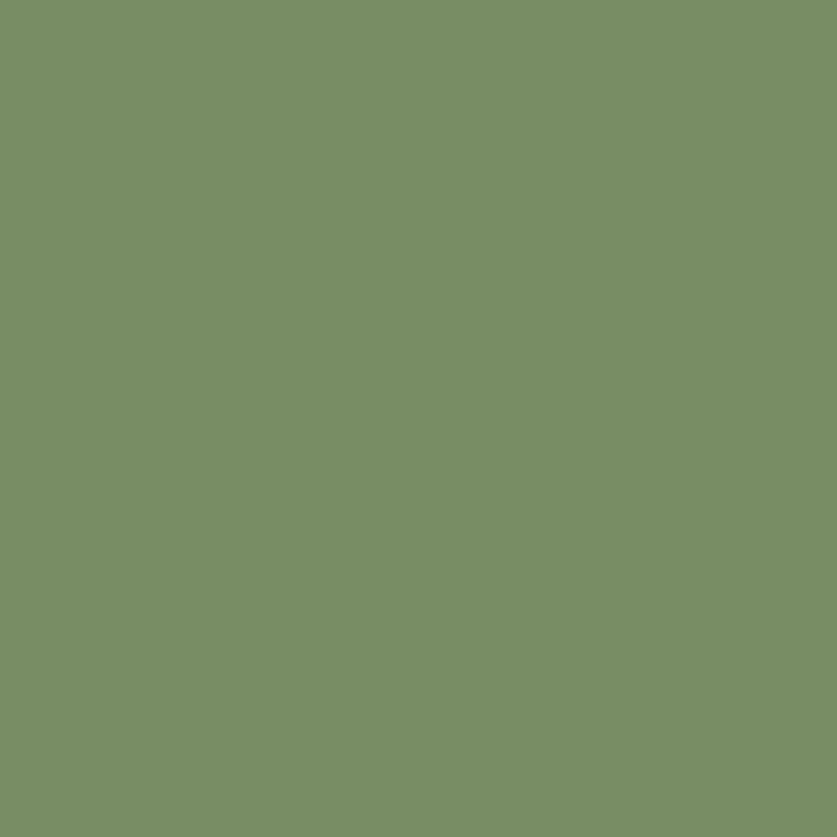 Sage Leaf - Royal Exterior Paint - SGP Garden Ltd