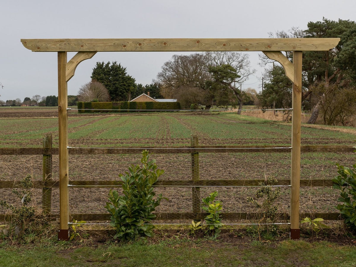 Screen Double Beam Pergola, Plant Climbing Arbour - Corbel Sculpted Brace - SGP Garden Ltd