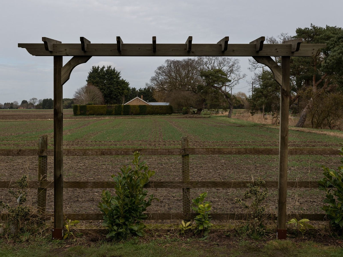 Sculpted Double Beam Pergola, Plant Climbing Arbour - Sculpted brace - SGP Garden Ltd
